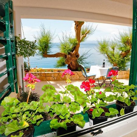 Studio Apartman Papic Драшнице Екстериор снимка
